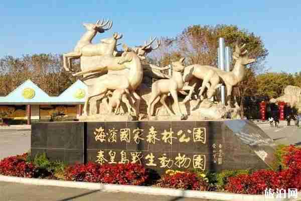 秦皇岛野生动物园一日游玩攻略 秦皇岛野生动物园一日游玩攻略