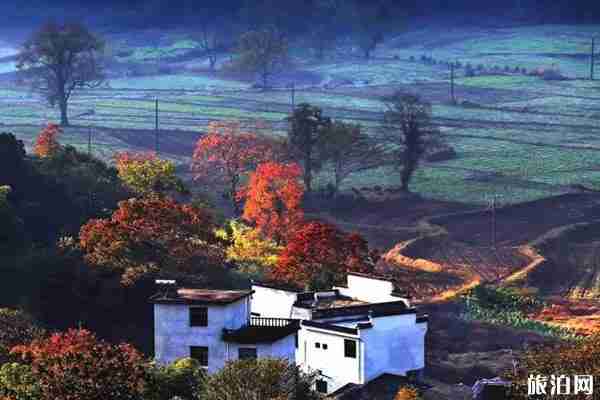 秋天必去的古村落景點推薦 秋天必去的古村落景點推薦