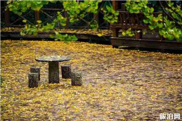 秋天必去的古村落景點推薦