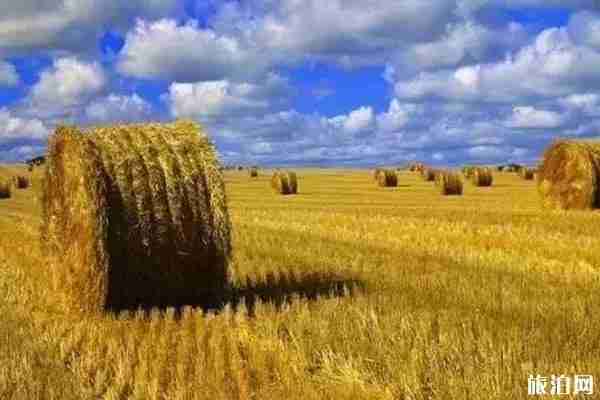 呼倫貝爾秋天景色推薦+地址+交通 呼倫貝爾秋天景色推薦+地址+交通