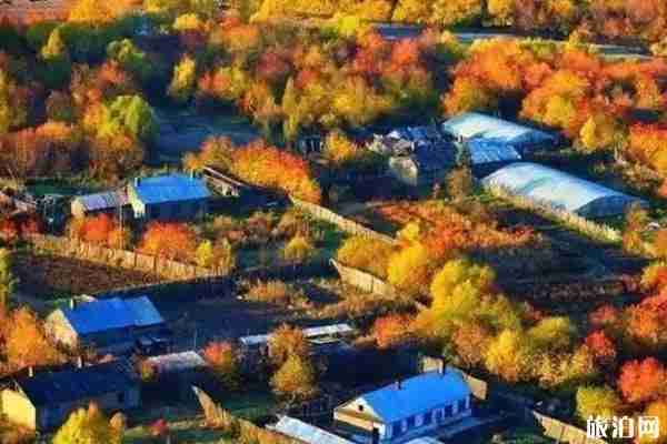 呼倫貝爾秋天景色推薦+地址+交通 呼倫貝爾秋天景色推薦+地址+交通