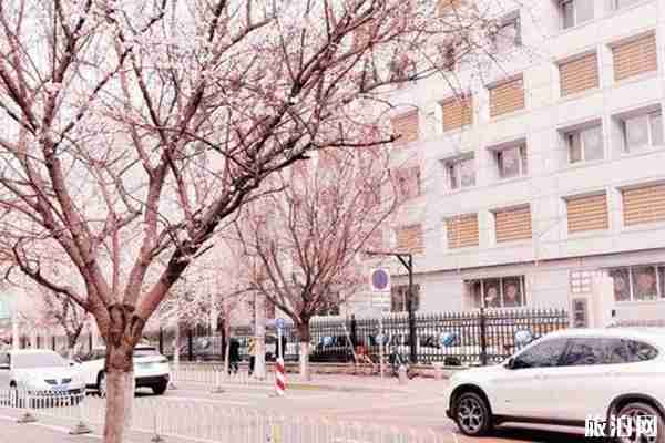 沈陽網(wǎng)紅打卡地有哪些