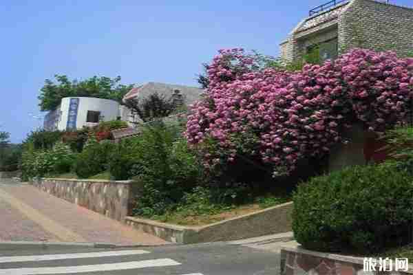 大連周邊徒步攻略 大連哪里可以徒步