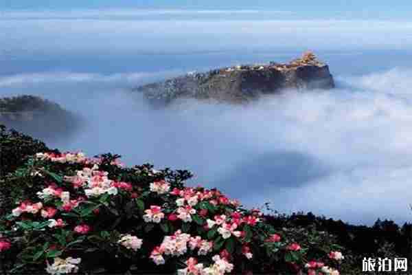 四川峨眉山景區(qū)拉客攬客處罰新規(guī)