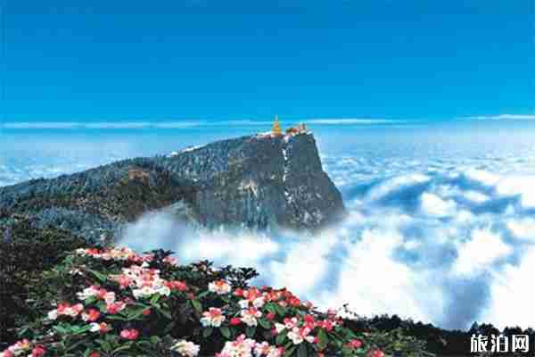 四川峨眉山景區(qū)拉客攬客處罰新規(guī)