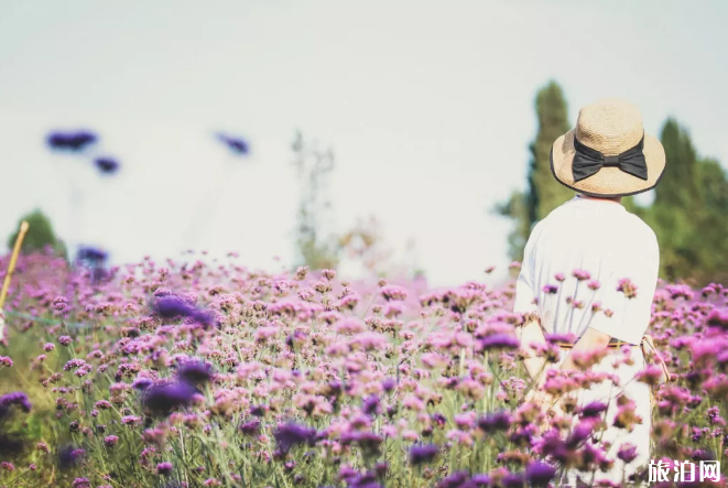 中秋節武漢有燈光秀嗎 2019中秋武漢燈光秀+景區活動匯總 中秋節武漢有燈光秀嗎 2019中秋武漢燈光秀+景區活動匯總