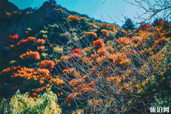 太原網紅拍照打卡地在哪里