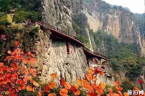 藏山風(fēng)景區(qū)好玩嗎 門票多少錢 藏山風(fēng)景區(qū)好玩嗎 門票多少錢