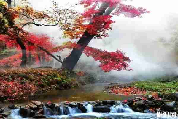 2019十一旅游路線推薦