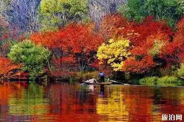 秋天采摘的地點推薦 秋天采摘的地點推薦