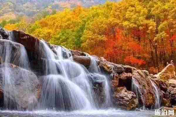 秋天采摘的地點推薦 秋天采摘的地點推薦