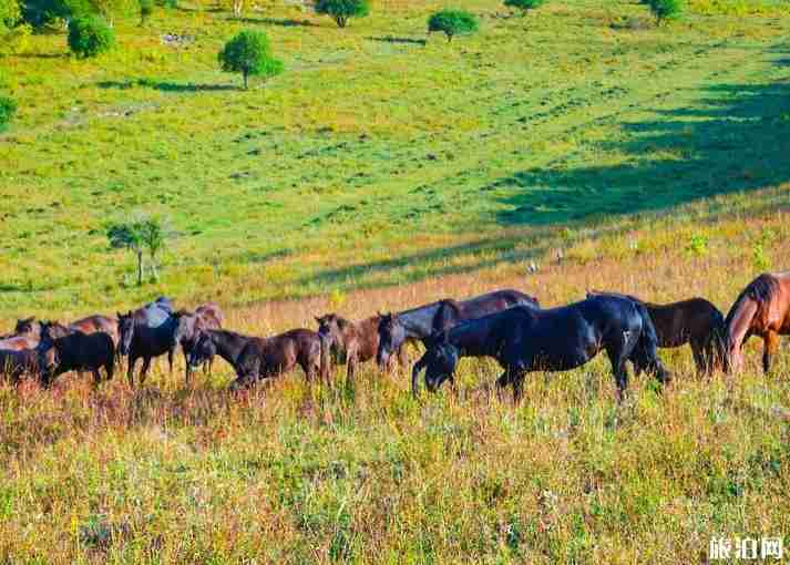 京北第一天路自駕攻略 京北第一天路自駕攻略