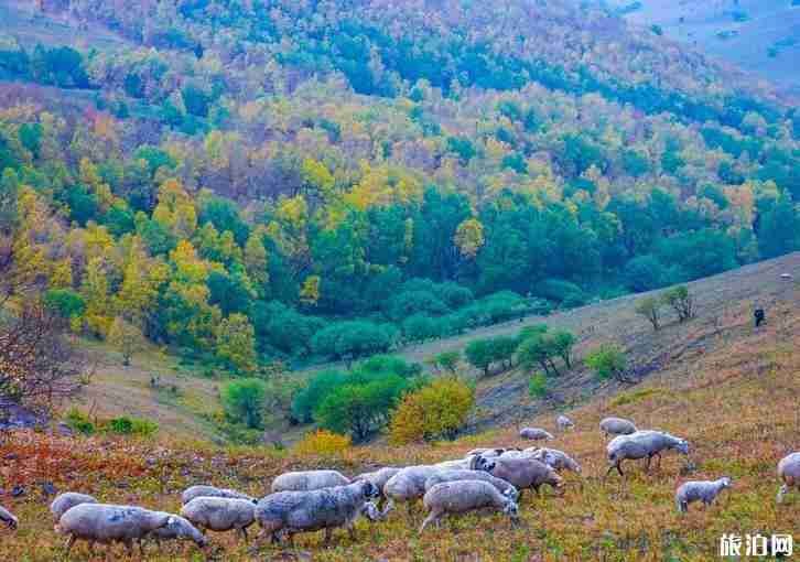 京北第一天路自駕攻略 京北第一天路自駕攻略