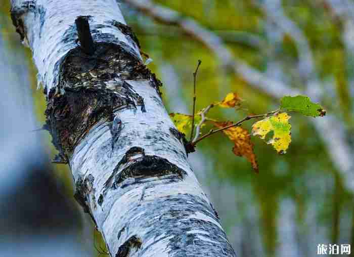 京北第一天路自駕攻略 京北第一天路自駕攻略