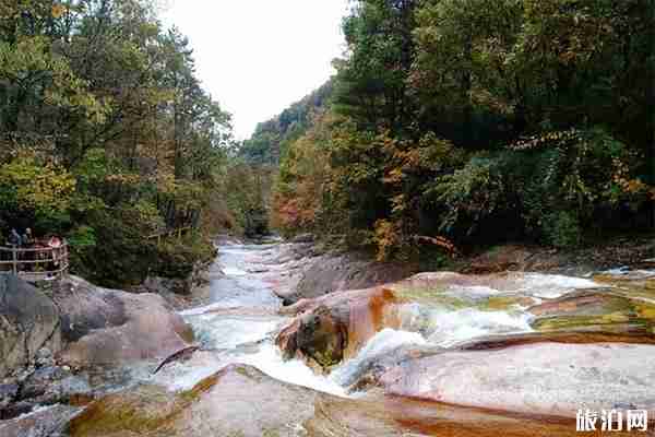 陕西黄柏源有什么好玩的+最佳旅游时间 陕西黄柏源有什么好玩的+最佳旅游时间