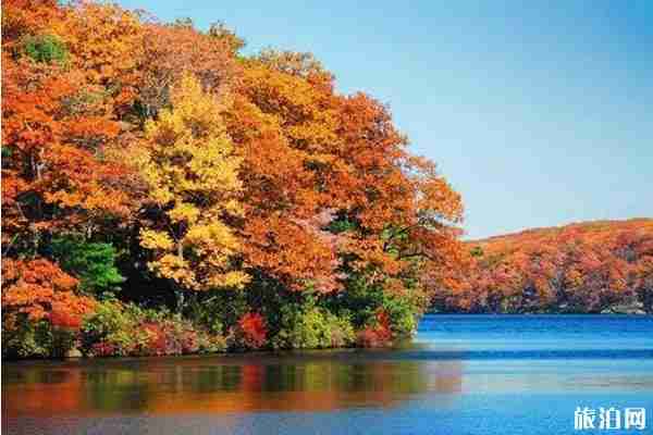 南京枫叶观赏地推荐 南京枫叶观赏地推荐