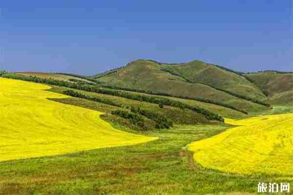 科尔沁草原好玩吗 风景怎么样 科尔沁草原好玩吗 风景怎么样
