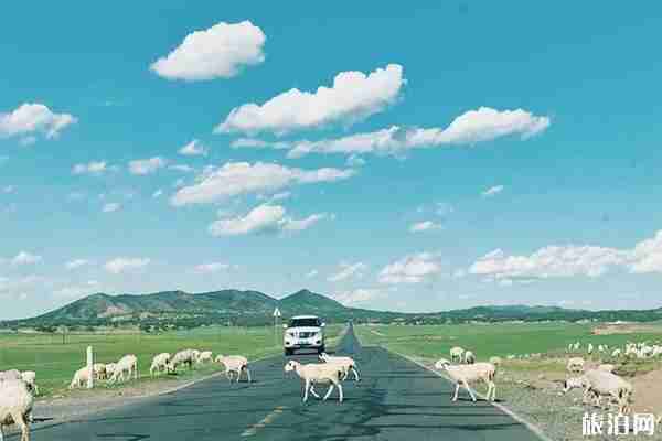 赤峰达达线怎么样 适合什么时候自驾游