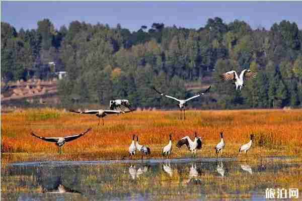 贵州秋天最美的7个地方 贵州赏秋攻略