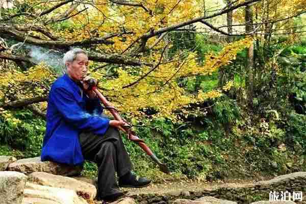 贵州秋天最美的7个地方 贵州赏秋攻略