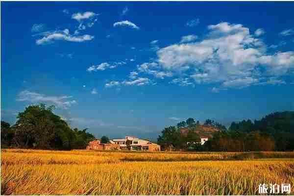 贵州秋天最美的7个地方 贵州赏秋攻略