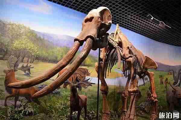 内蒙古博物院开馆时间 参观指南 内蒙古博物院开馆时间 参观指南