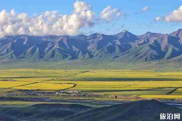 青海门源有什么好玩的 热门景点推荐 青海门源有什么好玩的 热门景点推荐