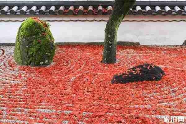 日本九州红叶2019观赏地点推荐