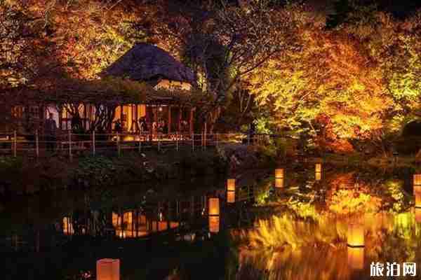 日本九州红叶2019观赏地点推荐