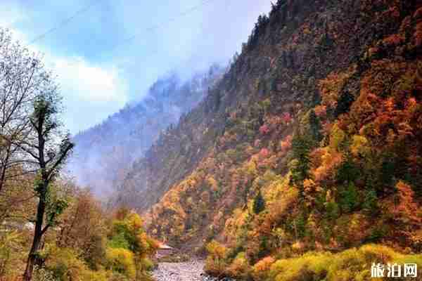 四川枫叶最美的地方推荐+地址+最佳观赏时间+门票