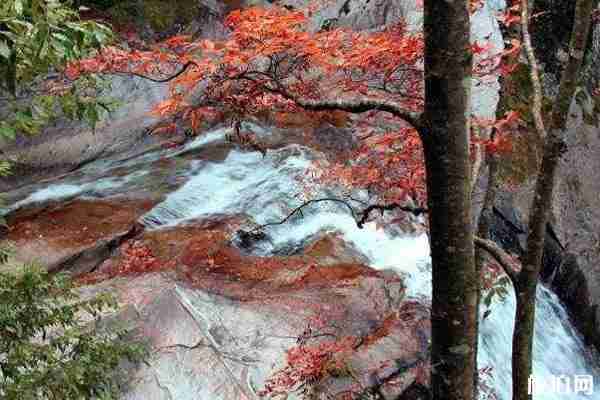 江浙赏枫叶地点推荐+门票