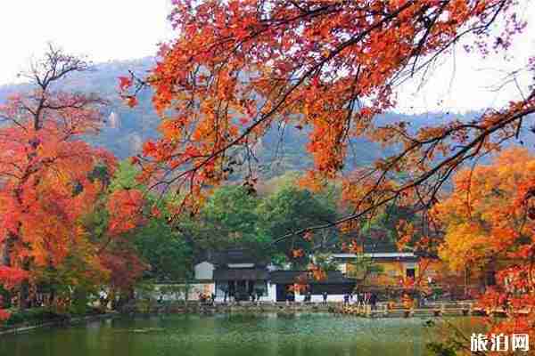 江浙赏枫叶地点推荐+门票