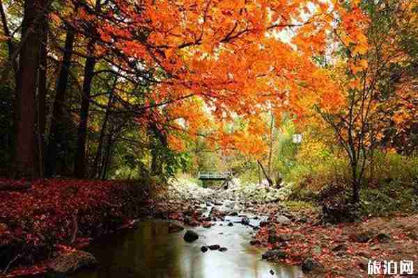 江浙赏枫叶地点推荐+门票