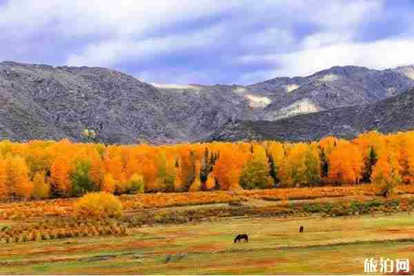 可可托海秋天景色推荐