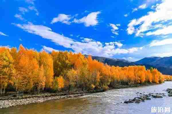 可可托海秋天景色推荐