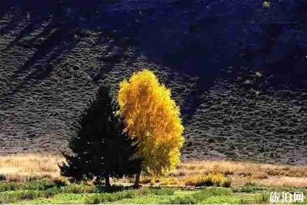 可可托海秋天景色推荐