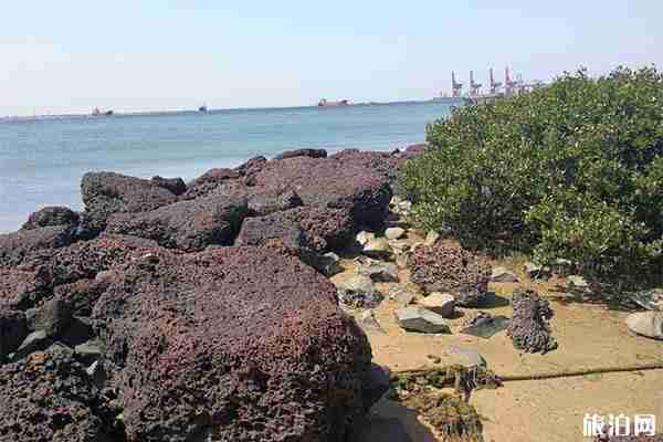 湛江特呈岛有什么好玩的