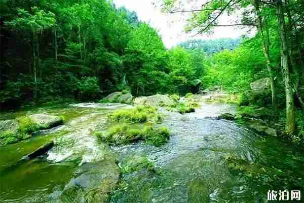 遂宁网红打卡景点有哪些 遂宁网红景点介绍
