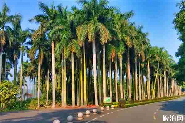 湖光岩风景区有什么好玩的 门票多少钱