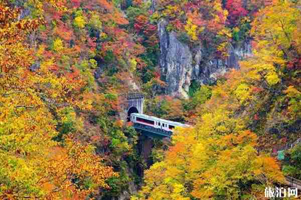 2019日本东北地区的红叶最佳观赏时间+地点推荐