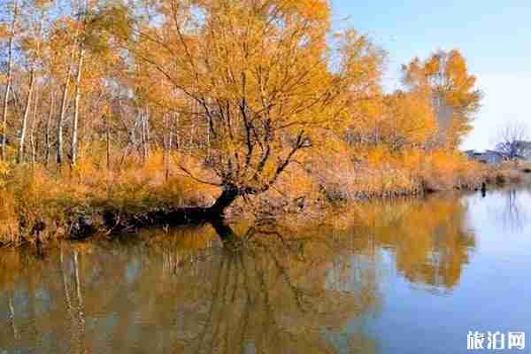 东北秋季旅游景点推荐