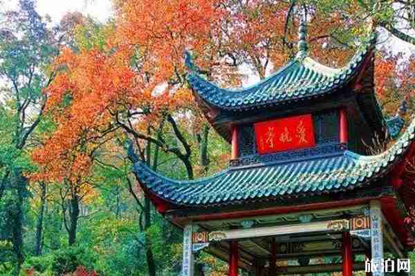岳麓山枫叶什么时候红 岳麓山枫叶观赏地点攻略 岳麓山枫叶什么时候红 岳麓山枫叶观赏地点攻略
