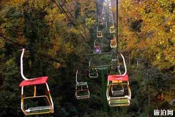 岳麓山枫叶什么时候红 岳麓山枫叶观赏地点攻略 岳麓山枫叶什么时候红 岳麓山枫叶观赏地点攻略