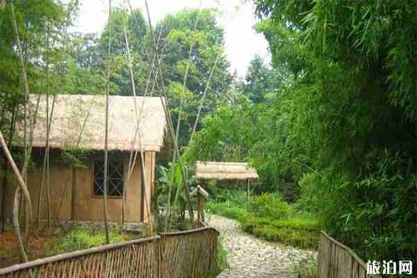 安吉竹博园好玩吗 门票多少钱