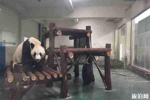 安吉竹博园好玩吗 门票多少钱