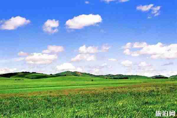 北京周邊自駕草原國慶推薦