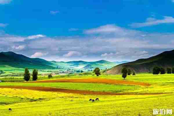 北京周邊自駕草原國慶推薦