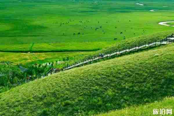 北京周邊自駕草原國慶推薦