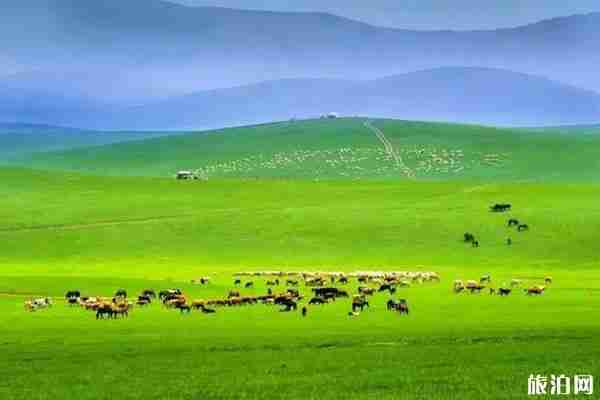 北京周邊自駕草原國慶推薦