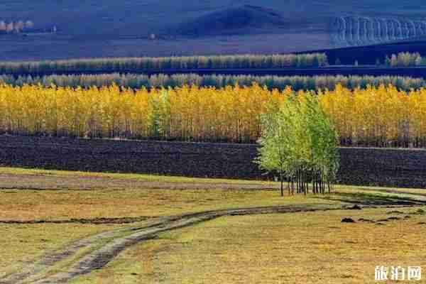 秋季內蒙古草原自駕游線路推薦